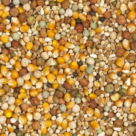 Super speciaal vlucht - 20 kg