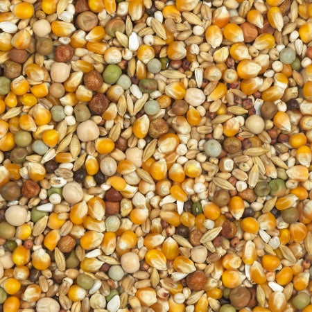 Jonge duiven - 20 kg