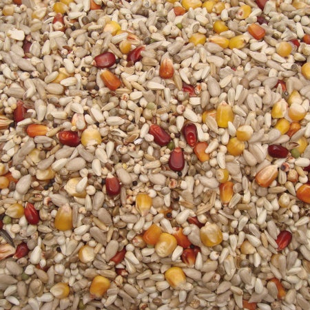 Top energy - 20 kg