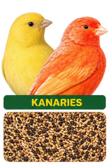 Kanarie essentials - 1 kg