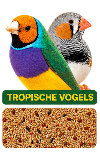 Tropische vogels essentials - 1 kg