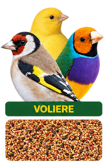 Volière essentials - 4 kg