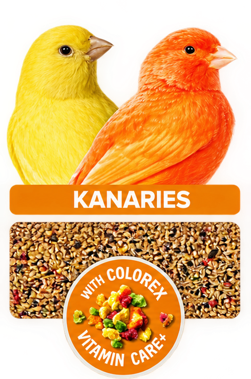 Kanarie rainbow crisp - 900 gr