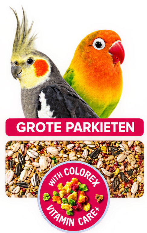 Grote parkieten rainbow crisp - 900 gr