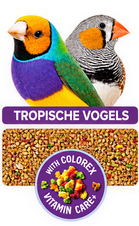 Tropische vogels rainbow crisp - 900 gr