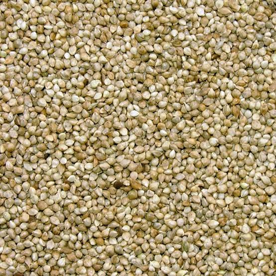 Millet Japans