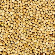 Millet wit rond