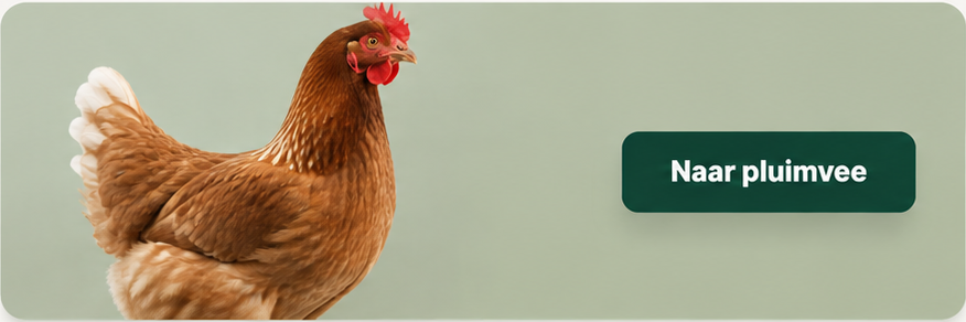 Poultry