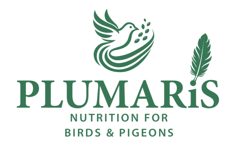 Plumaris